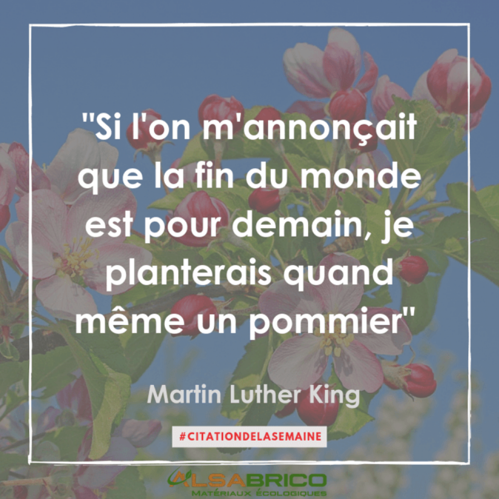 Citation De Martin Luther King Citation N 13 Blog Alsabrico