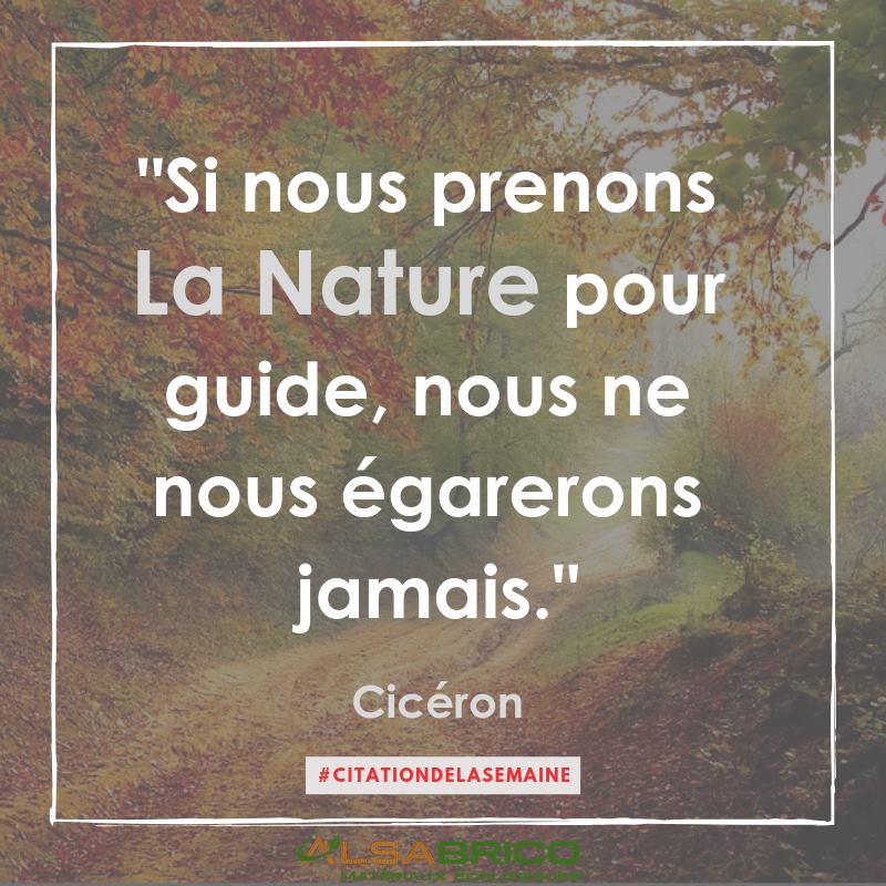 Citation de Cicéron Citation n°10 Blog Alsabrico Citation de Cicéron Citation n°10 Blog Alsabrico