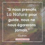 Citation n°10 - Si nous prenons la nature pour guide, nous ne nous égarerons jamais"