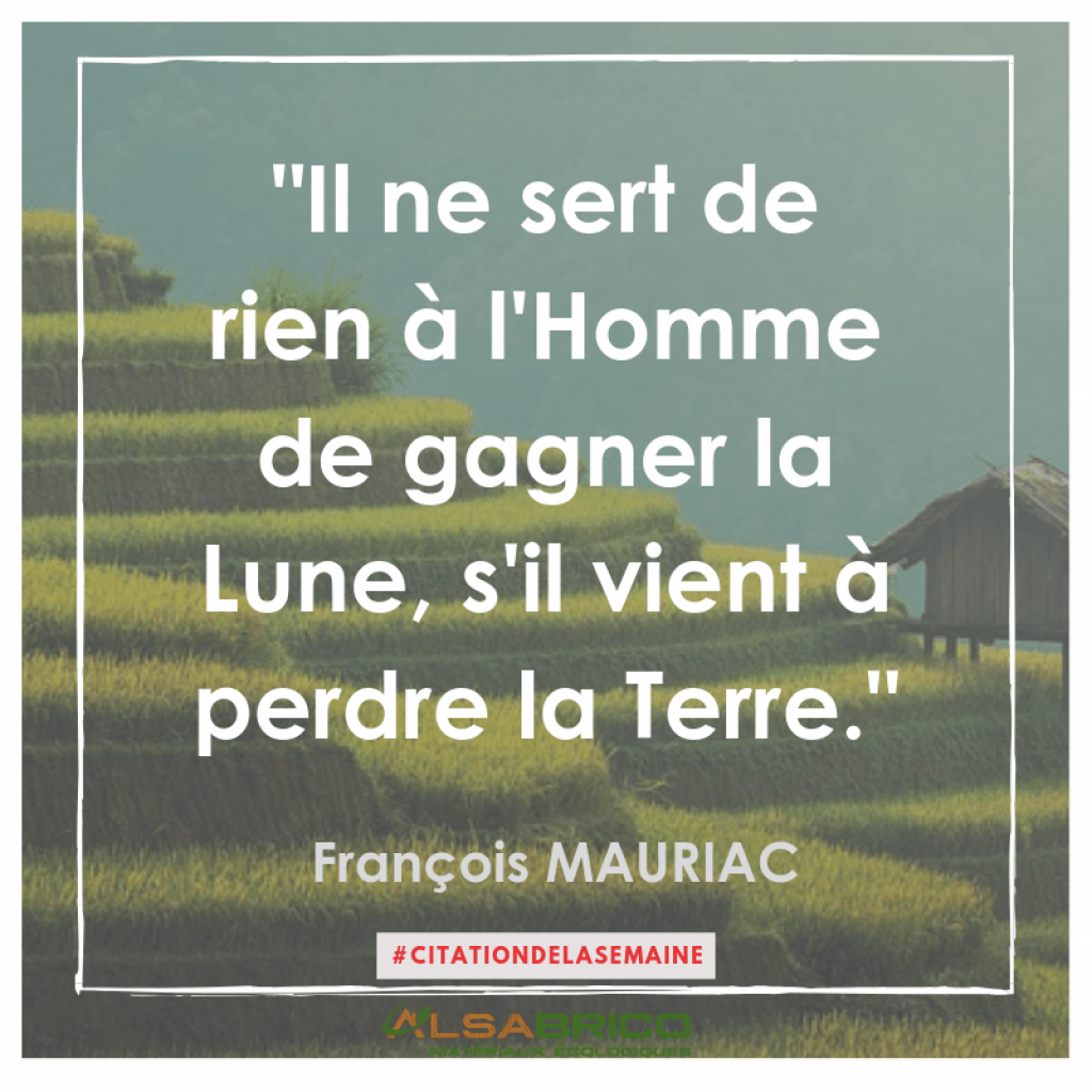Citation De Francois Mauriac Citation N 14 Blog Alsabrico
