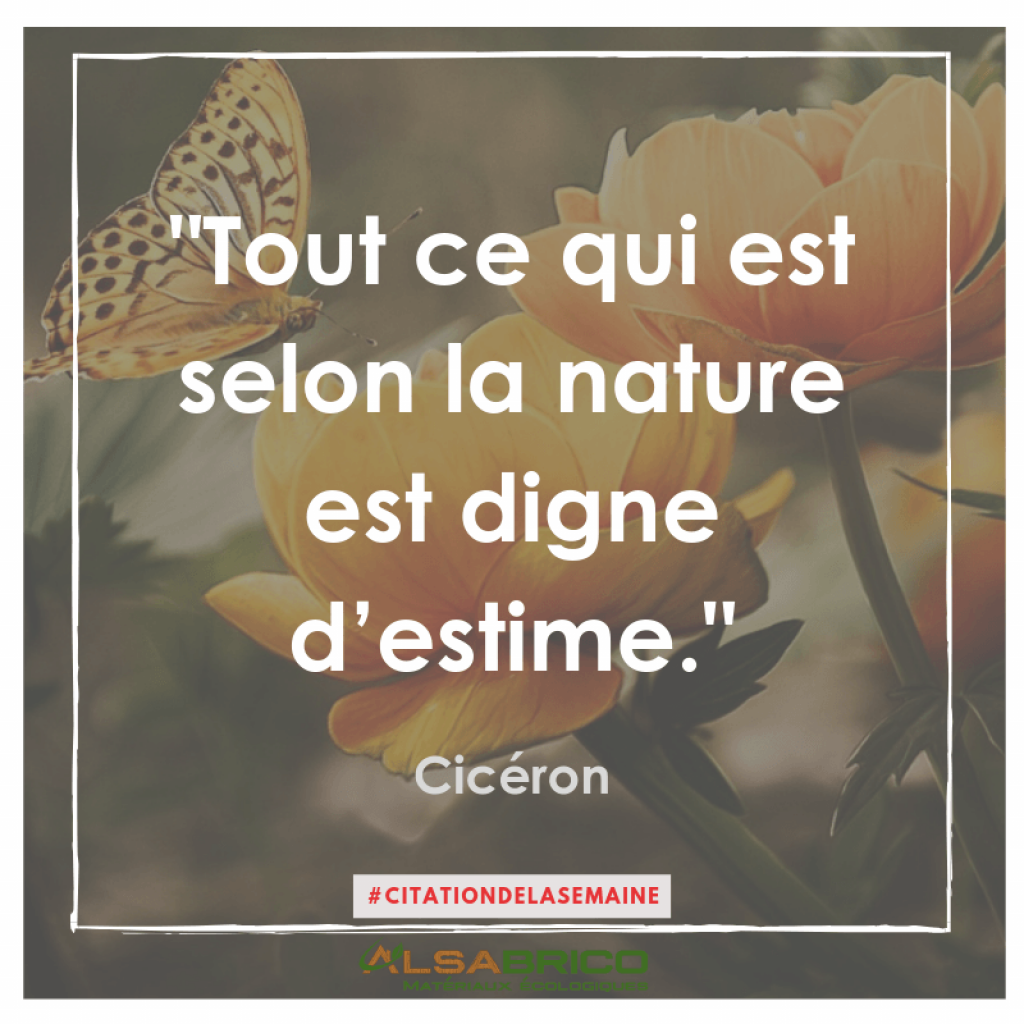 Citation De Ciceron Citation N 15 Blog Alsabrico