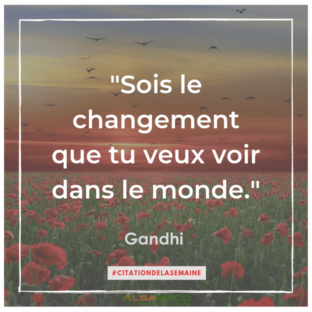 Citation De Gandhi Citation N 17 Blog Alsabrico