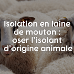 Isolant en laine de mouton : oser l'isolant d'origine animale