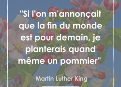 ” Si l’on m’annonçait que la fin du monde est pour demain, je planterais quand même un pommier ” – Martin Luther King #13