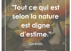 “Tout ce qui est selon la Nature est digne d’estime.” – Cicéron #15