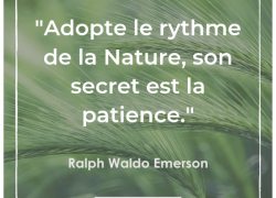 Citations Concernant L Ecologie Et La Nature Blog Alsabrico