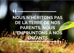 “Nous n’héritons pas de la terre de nos parents, nous l’empruntons à nos enfants.” – Antoine de Saint-Exupéry #1