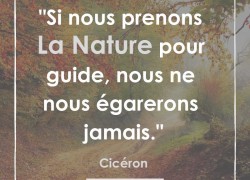 “Si nous prenons la nature pour guide, nous ne nous égarerons jamais” – Cicéron #10