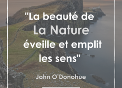 “La beauté de la nature éveille et emplit les sens” – John O’Donohue #11
