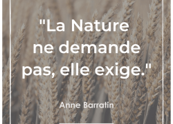“La Nature ne demande pas, elle exige.” Anne Barratin #21