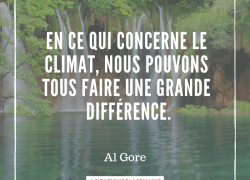 “En ce qui concerne le climat, nous pouvons tous faire une grande différence” – Al Gore #5