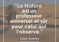 “La nature est un professeur universel et sûr pour celui qui l’observe” – Carlo Goldoni #9