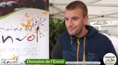 Domaine de l’envol : Marché bio D’Alsabrico