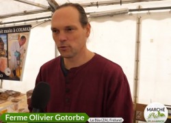 Apiculteur Olivier Gotorbe : Marché bio D’Alsabrico