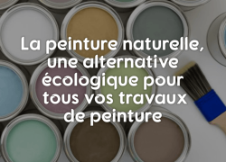 La peinture naturelle : une alternative écologique pour tous vos travaux de peinture